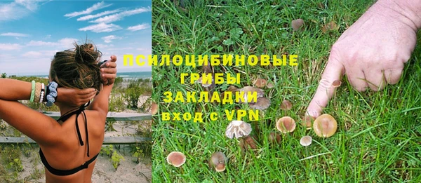 герыч Новокубанск