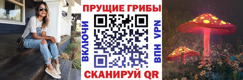 Купить закладки  Лукоянов  Галлюциногенные грибы Psilocybine cubensis 